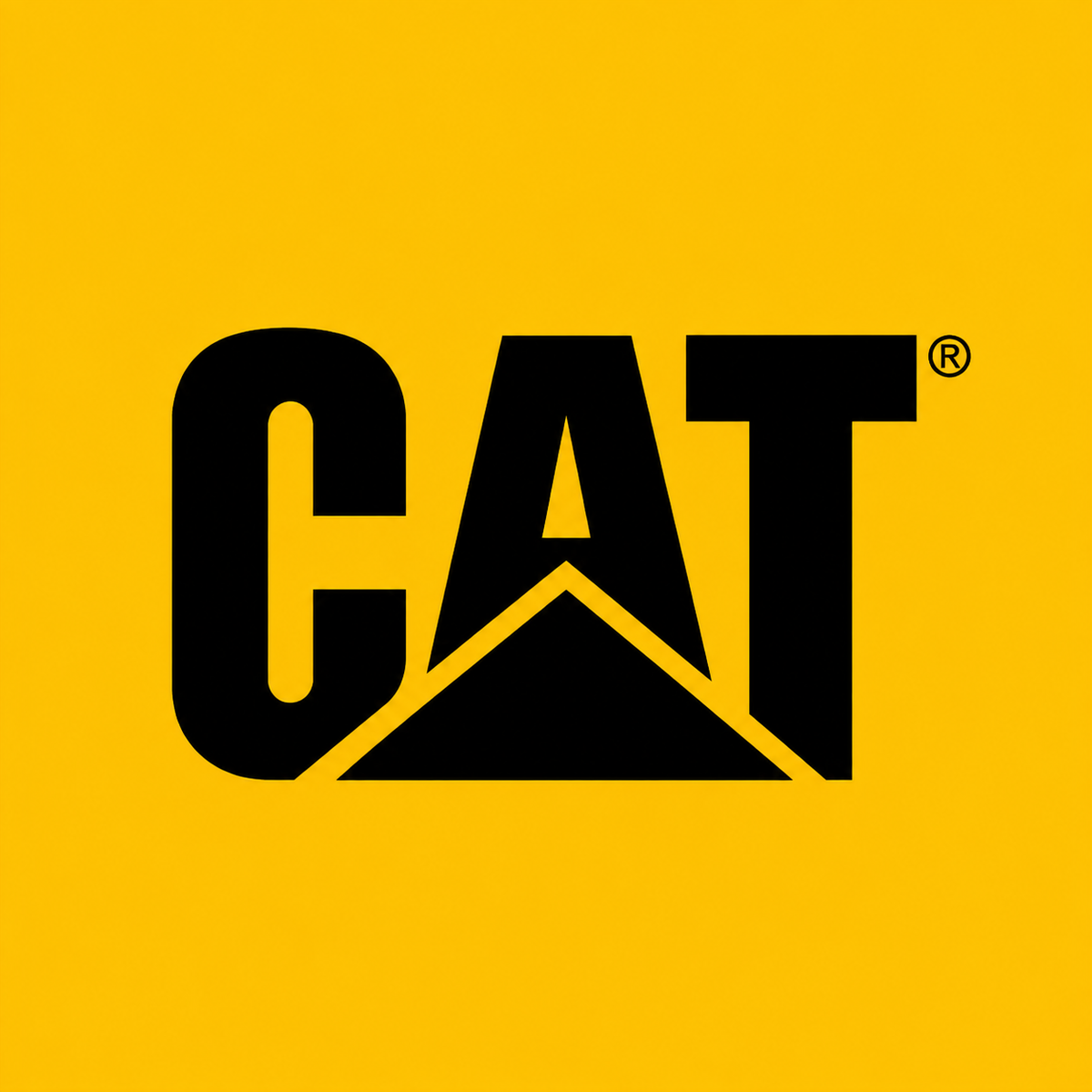 Cat Work Boots